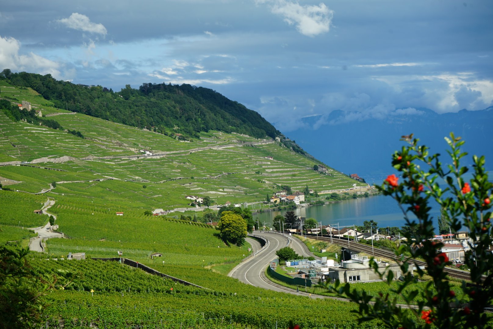 Udsigt over Genevesøen